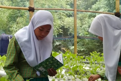 Belajar Kehidupan dari Hidroponik